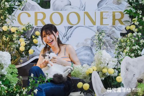 萌宠嘉年华 in 深圳GG创意社区