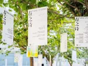 「四季生活有诗歌」夏日诗会 in 北京翠华里